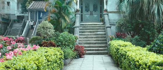 香艳、荒诞、堕落…这么绝的故事，拍不好我真心疼