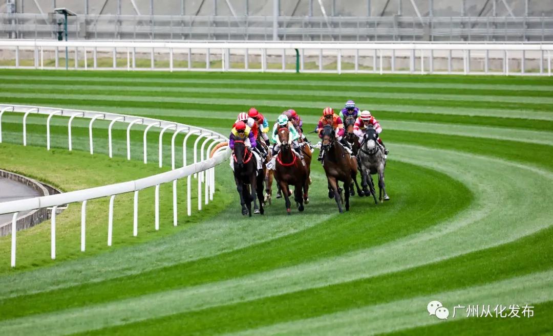 喜讯！广州从化这个单位获评“全国群众体育先进单位”~