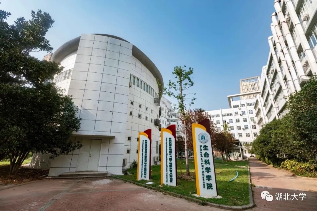 迎新季丨湖大23个学院长啥样？梦想从这里启航
