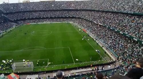 足球不仅仅是胜负！球场下起玩具雨，成千上万毛绒玩具落到球场内