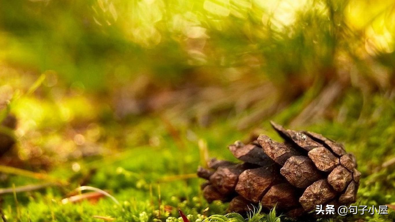 100个成语及历史人物,国人需要知晓的100个历史成语