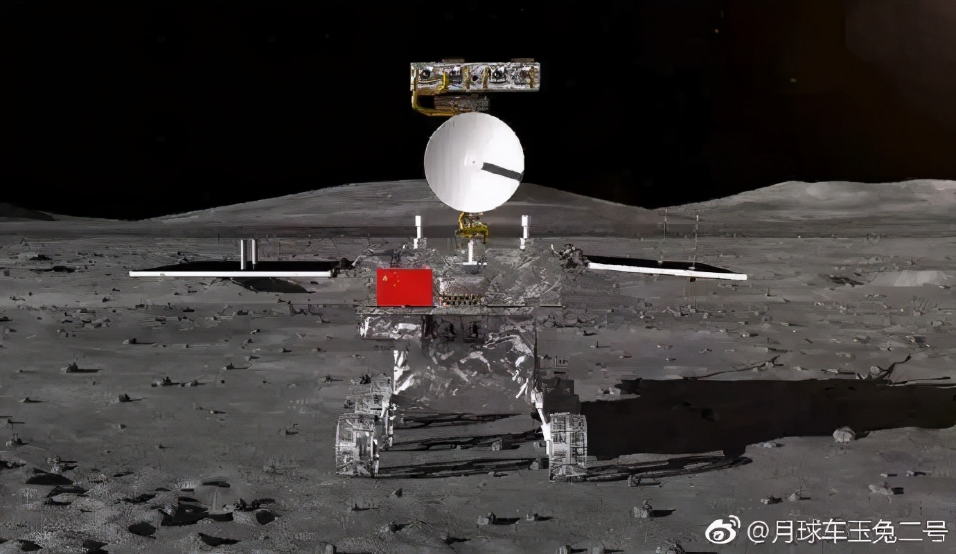 爱吃好斗、五色眼珠......聊聊小兔子的那些奇闻异事