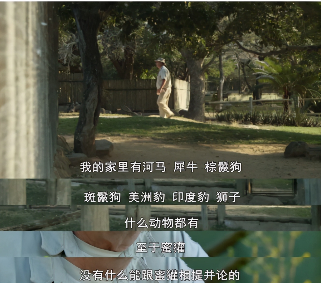 非洲斑鬣狗平头哥谁厉害,平头哥和鬣狗他俩谁更厉害