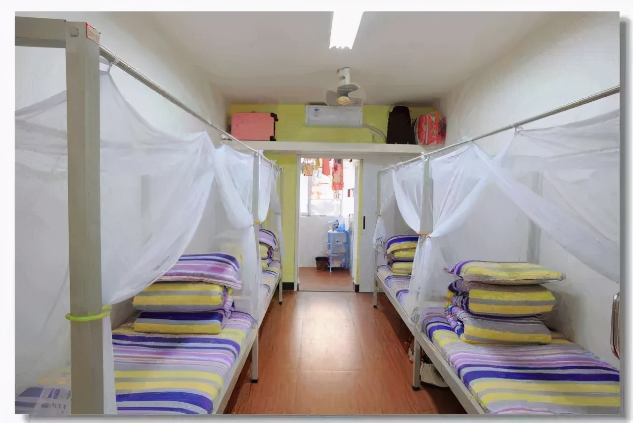 白岩松建议一定不能让孩子住校,白岩松谈住校走读