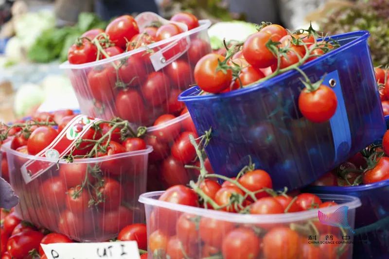 奇异果猕猴桃和车厘子的区别,车厘子和蓝莓菠萝的区别