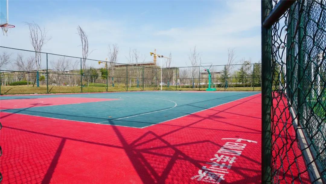 郑州免费游玩公园推荐,郑州新公园开放了吗