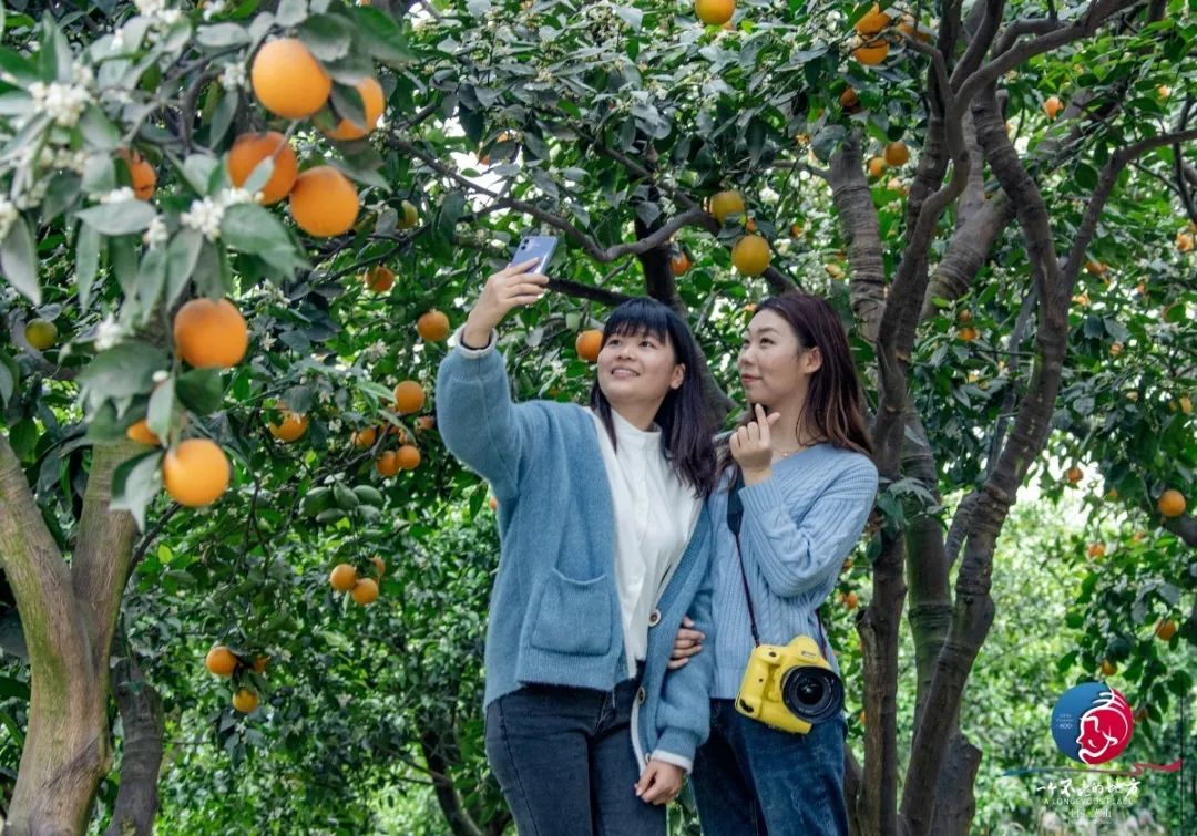 彭山卡拉ok抖音视频,彭山卡拉ok完整版