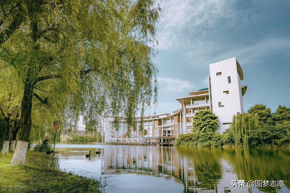 四川省所有大学录取分数线2024,四川各一本大学2019年录取分数线