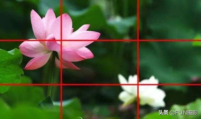 手机摄影掌握这十个技巧,手机摄影技巧入门教程