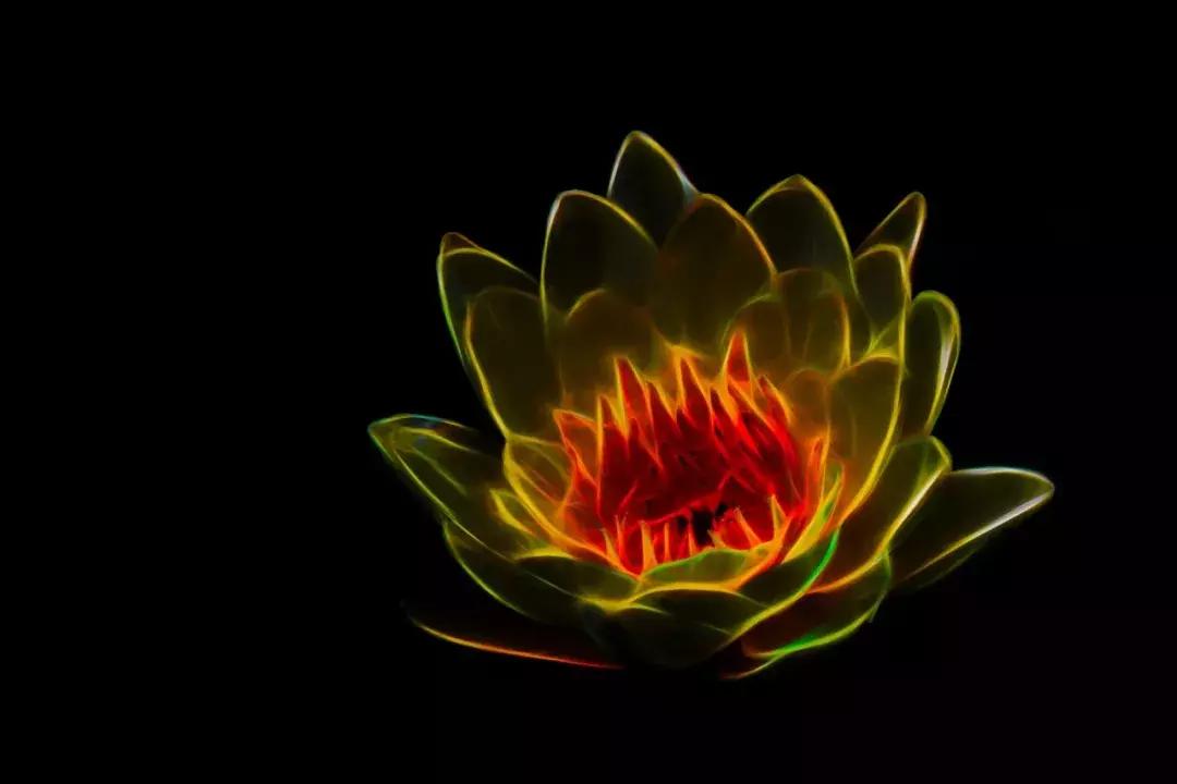 弘一法师李叔同圆寂,李叔同弘一大师传记