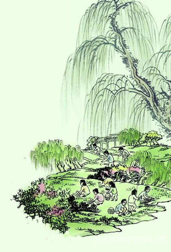 清明柳色俏------路来森