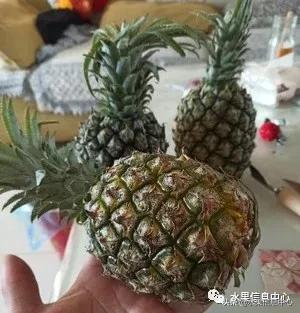 在网上买水果有哪些坑,在网上买水果划算吗