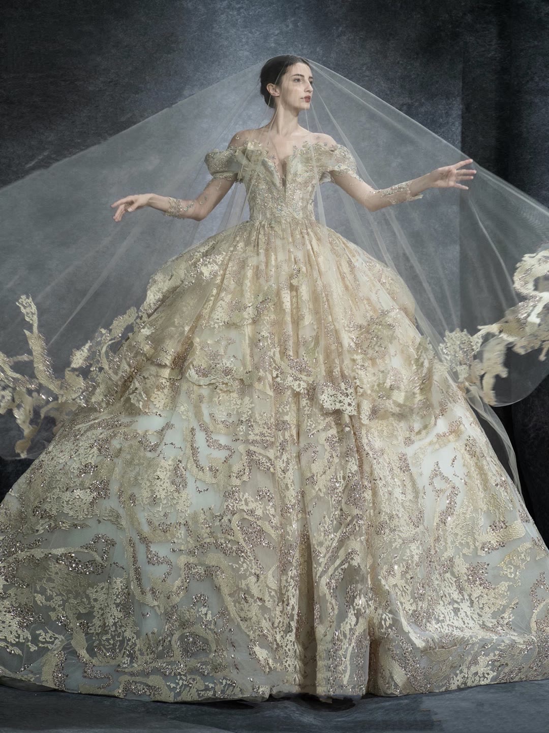 欧式婚纱美人图,欧式奢华婚纱图片