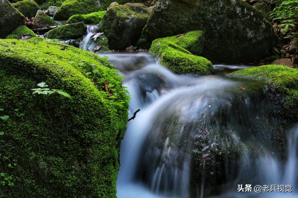 有一种旅行，叫去桓仁看绿