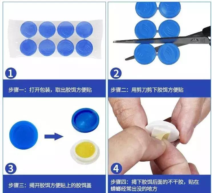 家庭蟑螂怎么消灭,消灭蟑螂的家庭小妙招