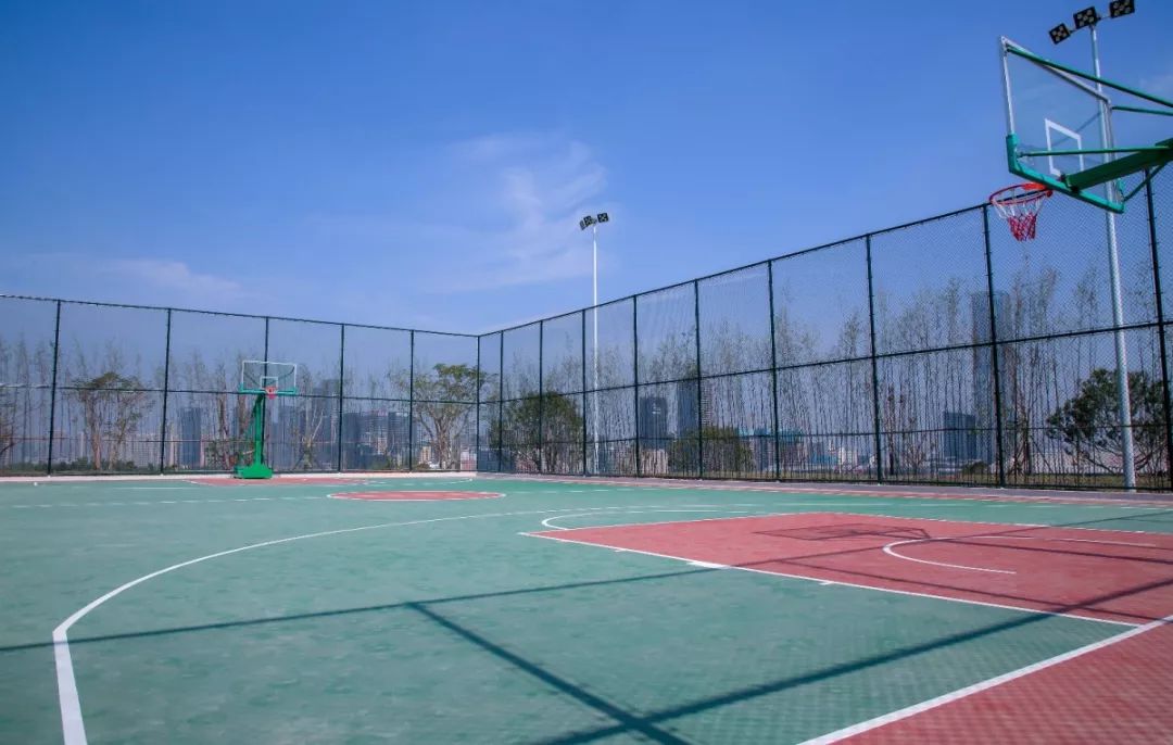 深圳北站中心公园现状,深圳北站中心公园风景