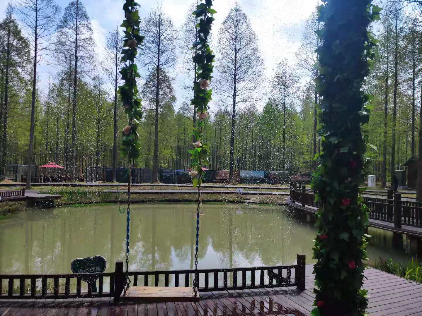 烟花三月矿泉水能喝吗,烟花三月喝最好的酒