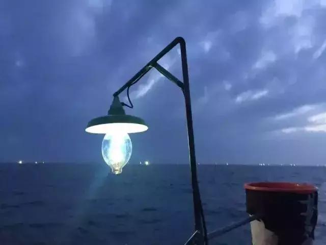 章鱼鱿鱼乌贼傻傻分不清,章鱼鱿鱼乌贼这三样有什么区别