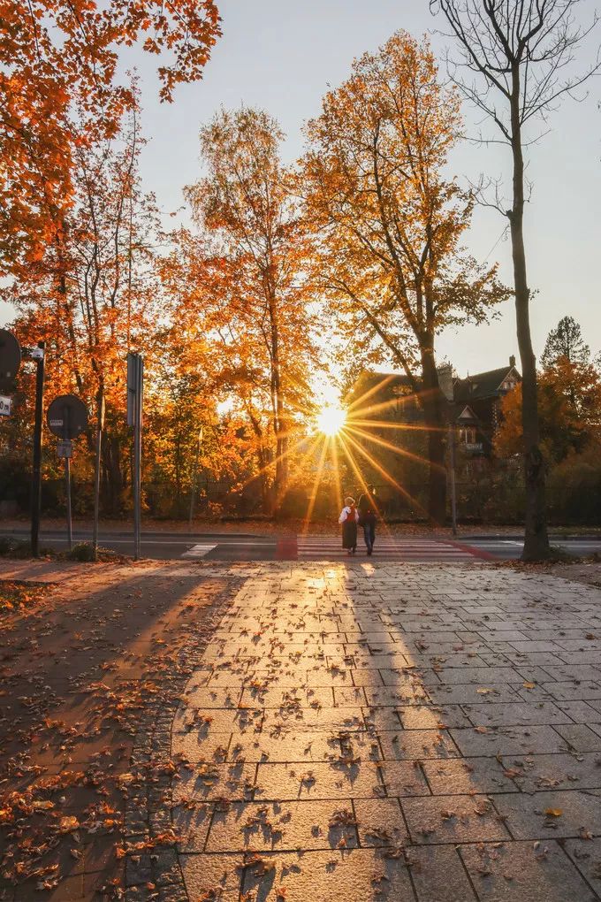 波兰记游记,波兰旅游攻略游记