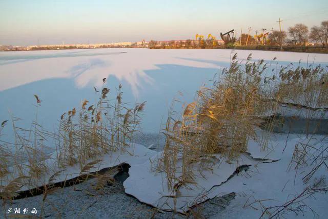 极度恐慌狼,极度恐慌狼敲门