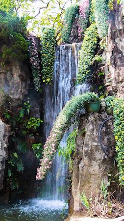 深圳吃喝玩乐两日游推荐,深圳周边游吃喝一日游推荐