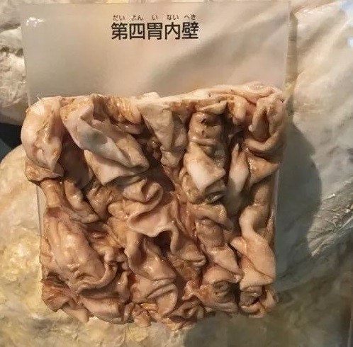 有四个胃哪个才是真正的胃,拥有四个胃其中哪个胃是真正的胃