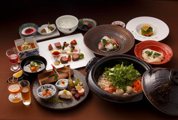 日本九州七星列车,日本九州列车