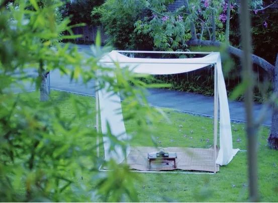 夏日解暑冰茶元气森林,夏天避暑花茶推荐