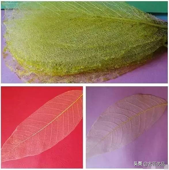 超惊艳的树叶手工,有趣的树叶手工制作