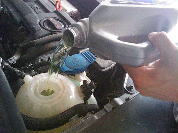 猫咪喝了防冻液会死吗,猫咪吃了防冻液什么症状