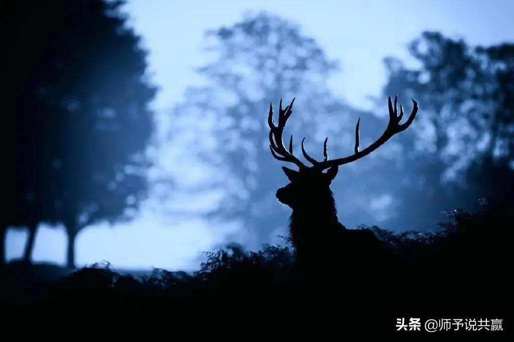 发现身边商机致富案例,发现商机该怎么做