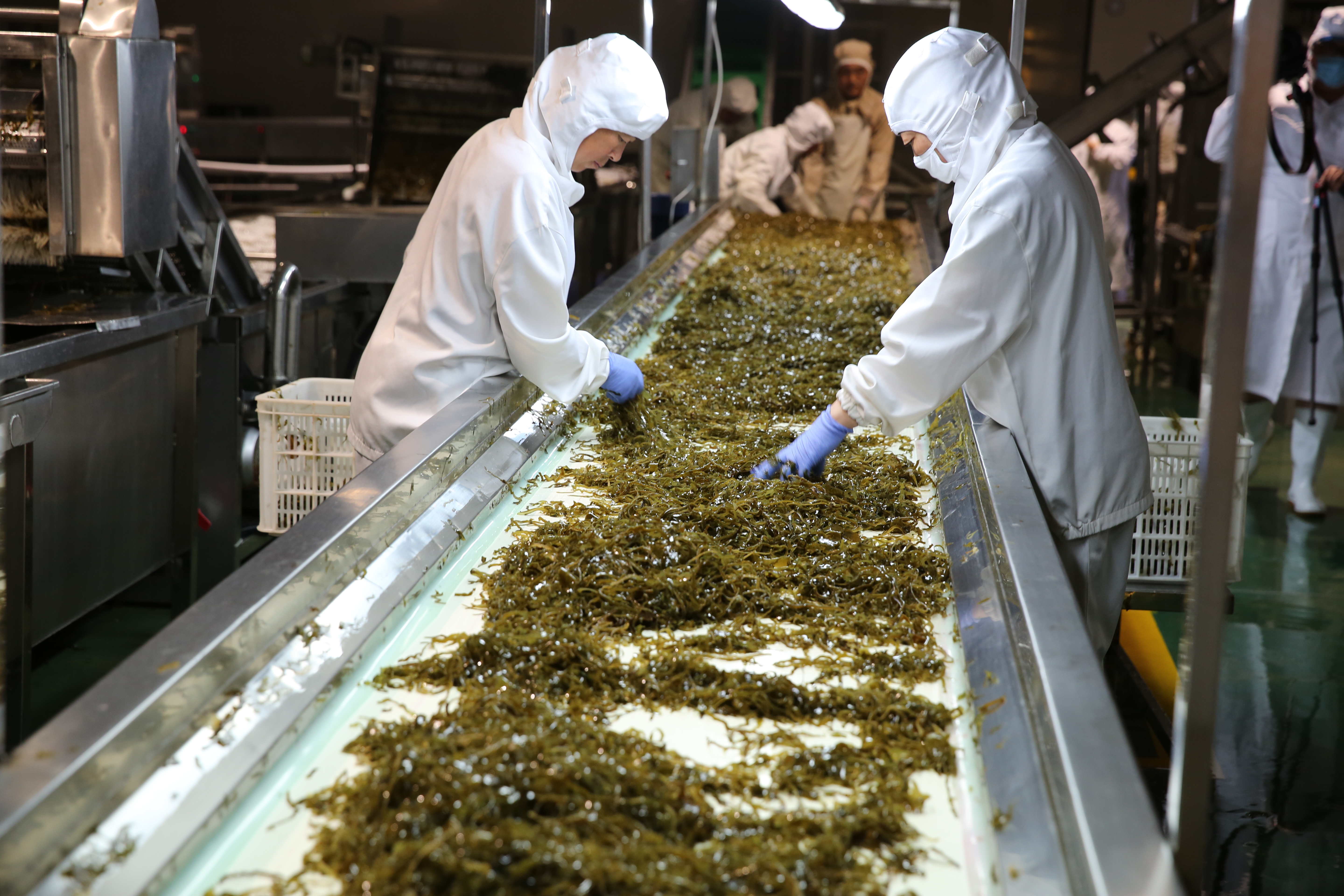 培育万亿海洋牧场产业集群,海洋牧场建设回忆与展望