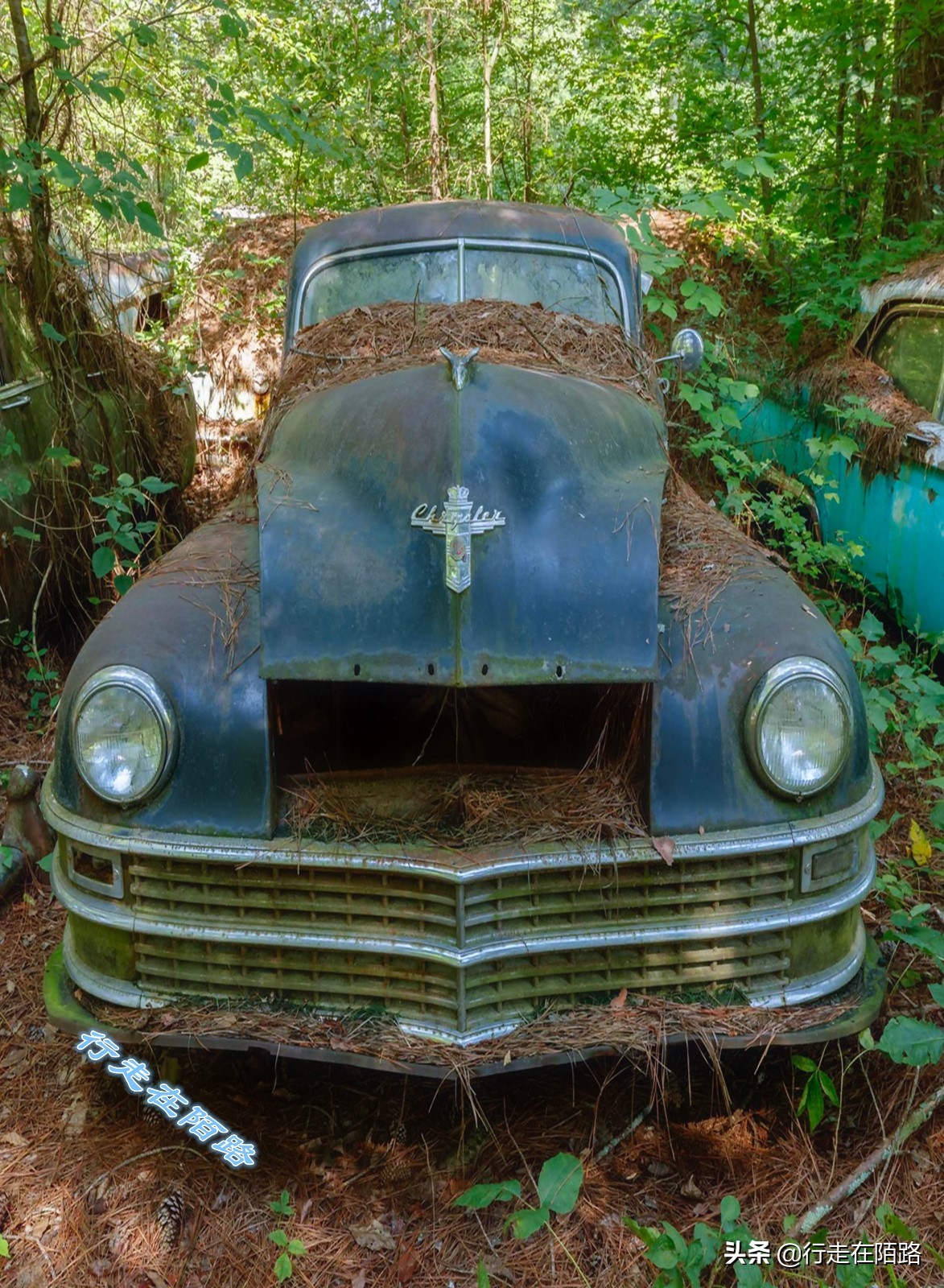 最值钱的废品,最值钱的废品回收