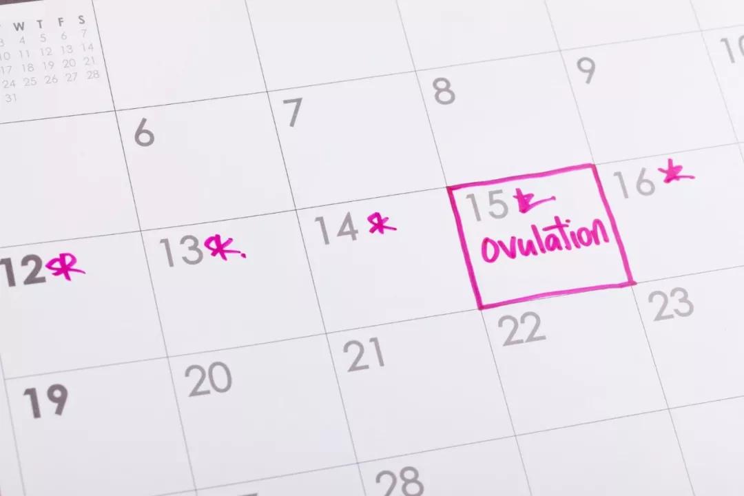 接好孕的第一步：如何找准排卵期