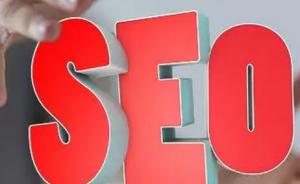 百度蜘蛛池自动收录seo关键词,百度蜘蛛池的搭建与收录效果分析