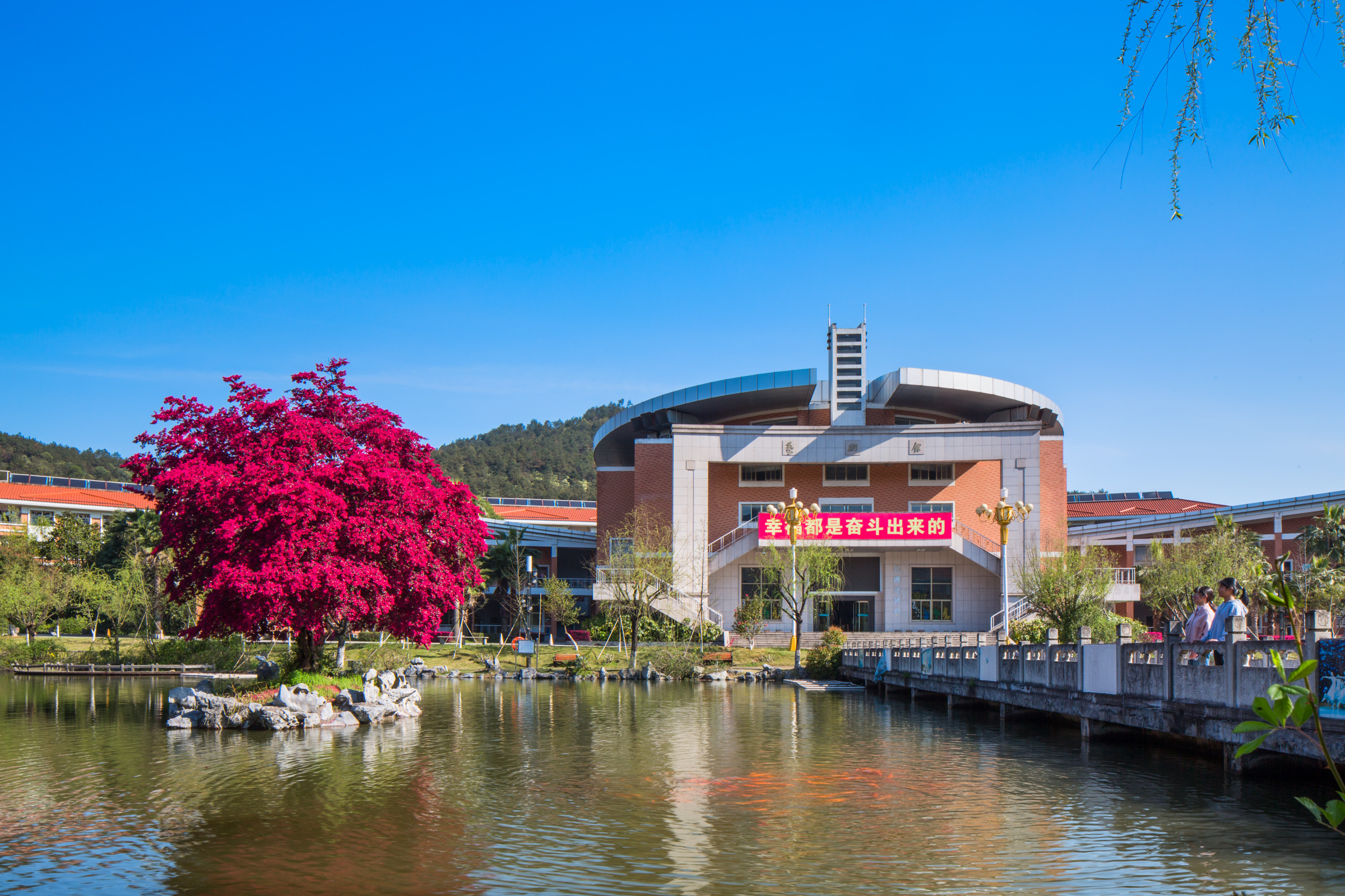 满园春色关不住，义乌中学内的一株红花檵木赢得老师纷纷赋诗赞美