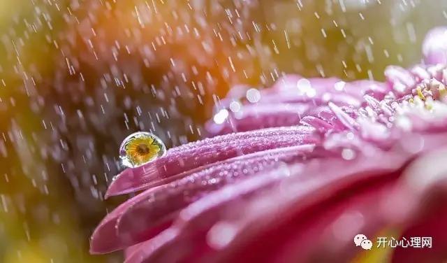 常见的有规律的事物,一些规律完整版