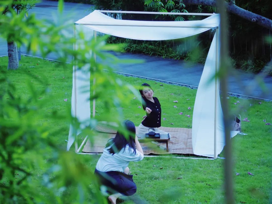 夏日解暑冰茶元气森林,夏天避暑花茶推荐