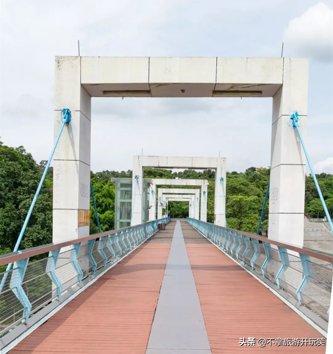 东莞植物园美丽好风景,东莞植物园有什么景色