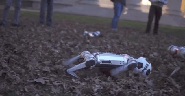 轻量级智能机器狗,最新款智能机器狗推荐