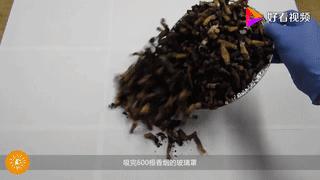 经常吸二手烟对小孩有哪些危害,吸二手烟对于孩子来说的危害