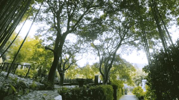 一个安徽爷爷，花1万块种出5000㎡私家花园，被评为中国最美