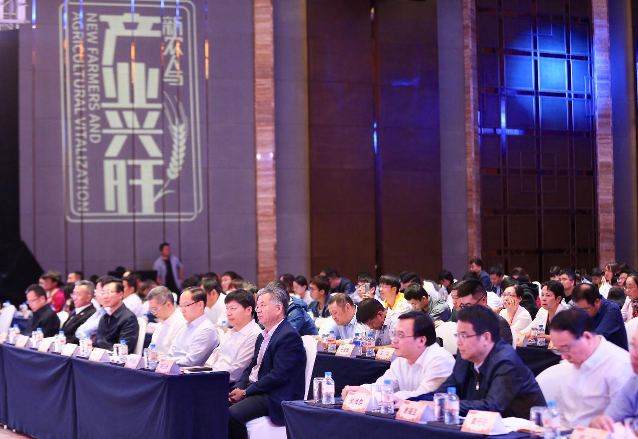 拼多多乡村扶贫模式,拼多多乡村振兴短视频