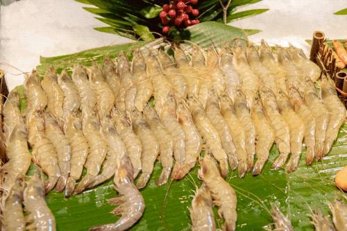 全上海性价比超高的七家海鲜自助,揭秘上海海鲜自助