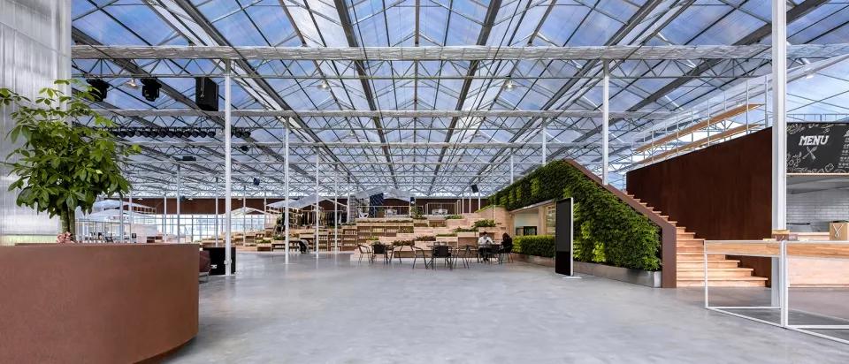 乡村振兴特点文化案例分享,关于乡村振兴比较有创意的点子