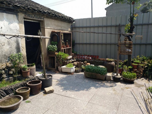 适合栽在庭院的多肉,庭院地栽多肉设计