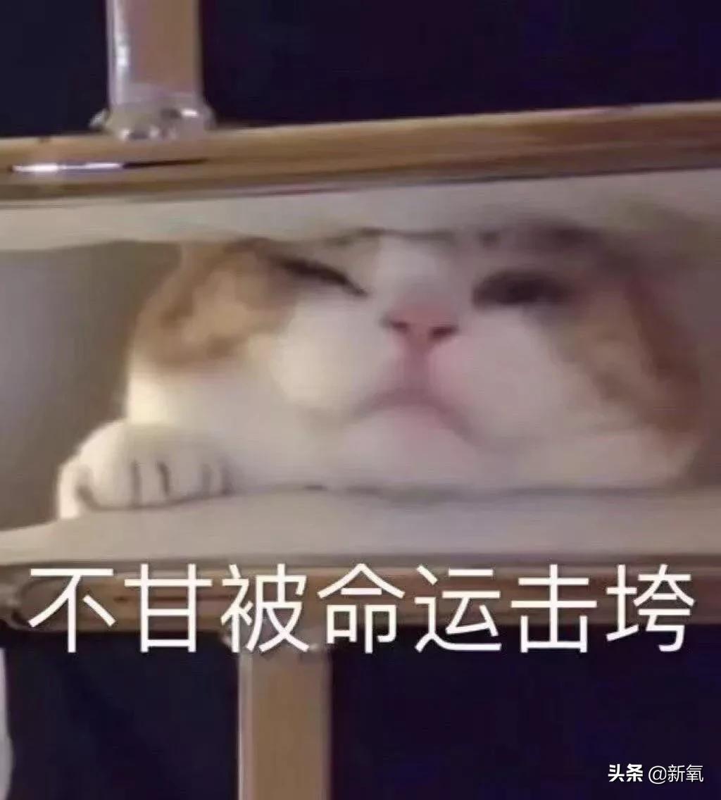 宋祖儿港风绝美照片,宋祖儿侧颜简直太美啦