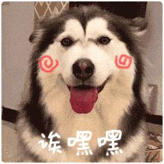 @三灶养犬人：这里有个活动与您有关