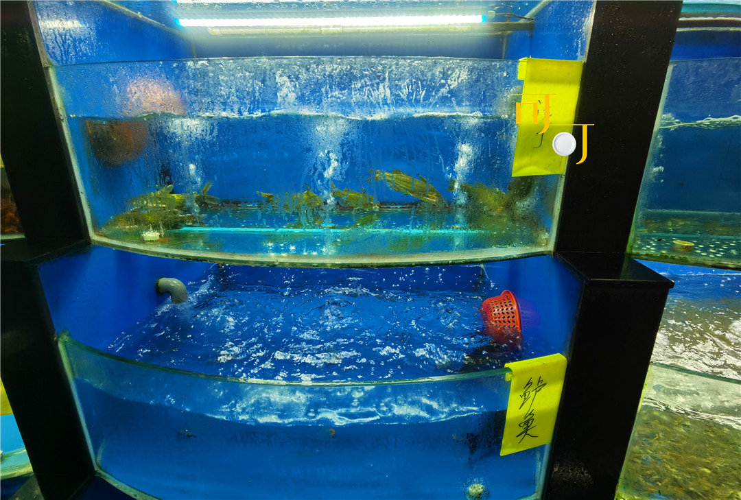 湖州荻港渔庄美食,湖州荻港渔庄的特点美食