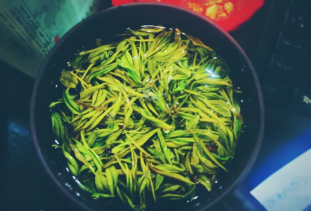 浙江省的一颗明珠城市,浙江安吉美丽风景